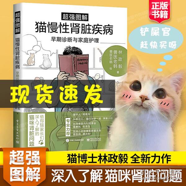 宠物猫常见疾病及护理，宠物猫疾病护理指南，常见疾病防治与护理知识讲解