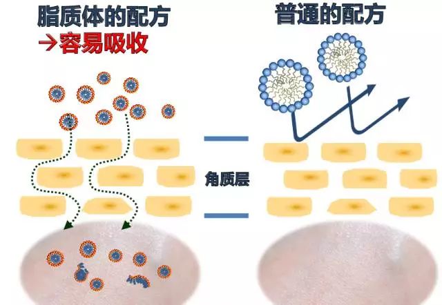 姬存希最新动态，引领时尚潮流，展现品牌新魅力，姬存希最新动态，时尚潮流引领，展现品牌全新魅力