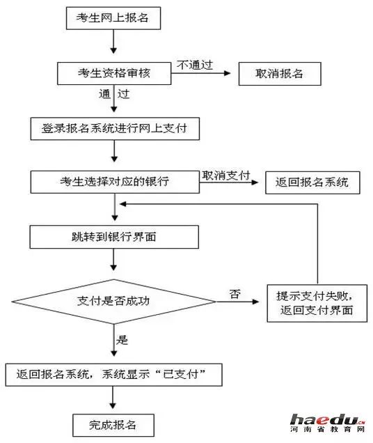 最新SAE上报流程详解，最新SAE上报流程全面解析