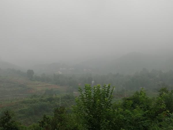 信阳大暴雨最新情况报告，信阳大暴雨最新情况更新报告