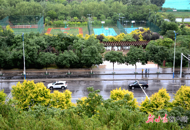 武威暴雨最新信息，影响与应对措施，武威暴雨来袭，最新影响及应对措施