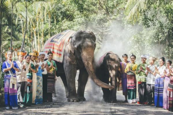 云南疫情最新旅游动态与策略分析，云南疫情最新旅游动态及策略解析