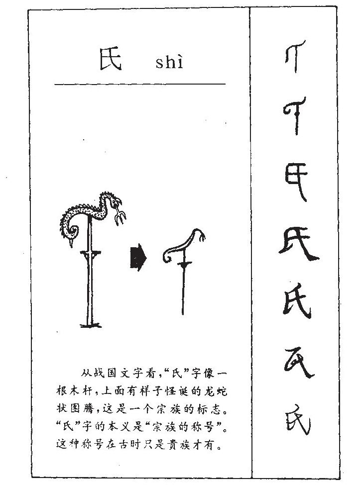 揭秘传奇家族发展史之秘的家族传说章节最新更揭示家族古代传奇故事