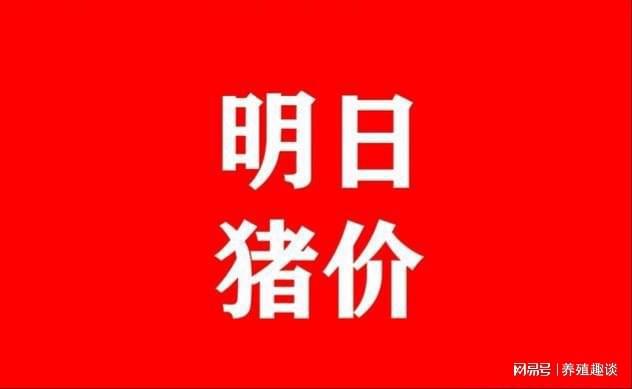 最新猪价动态，市场趋势、影响因素深度解析与未来展望