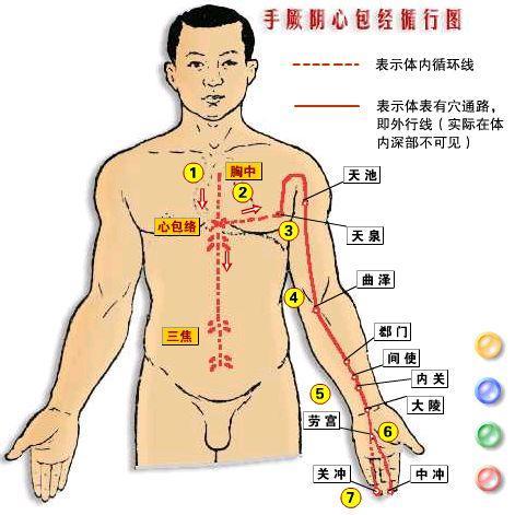 肝部研究新进展及其重要性探讨