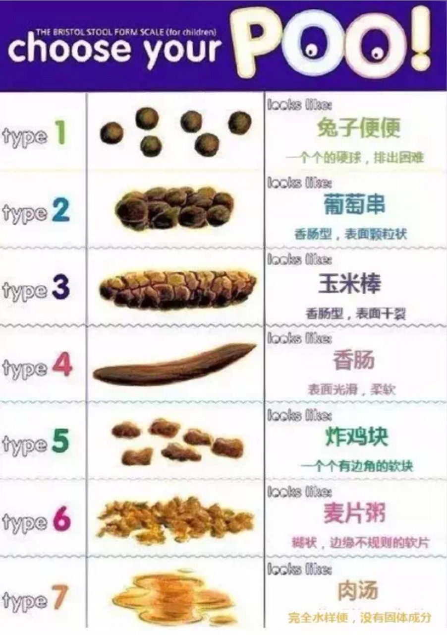 大便粗细标准的最新研究与解析概况