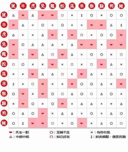 十二生肖新解读，揭示属相深层次文化意义