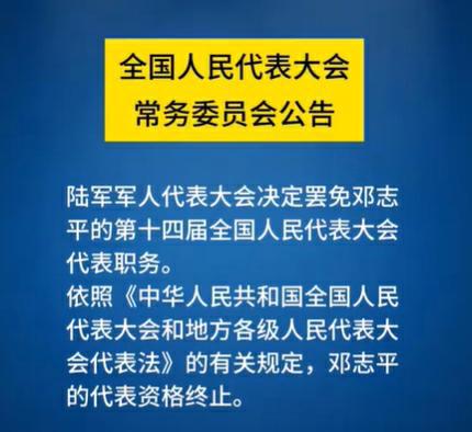 全国人大代表罢免事件