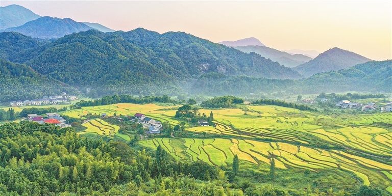 奉新上富镇最新资讯，乡村振兴加速推进