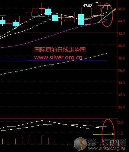 国际油价走势图分析，最新动态与趋势解读