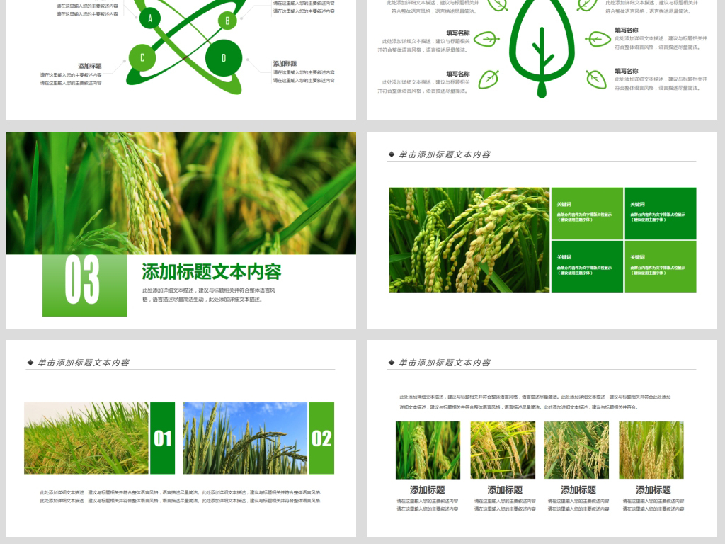 免费下载农业ppt模板，推动现代农业升级与未来发展规划