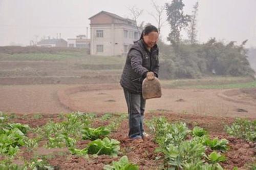 沟通大师，实战案例下载