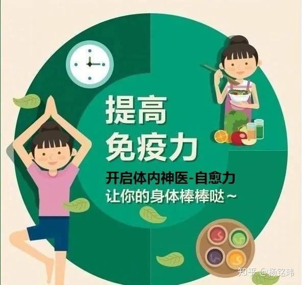 免疫力提升视频，快速下载与解读