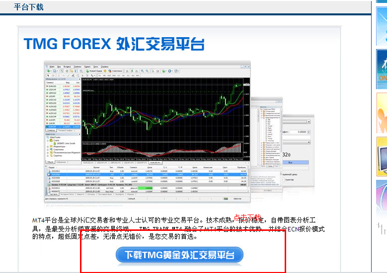 MT5免费指标下载方法