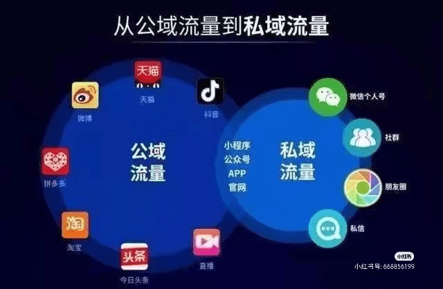 新澳精准推算平特一肖走势，肖氏预测最新分析