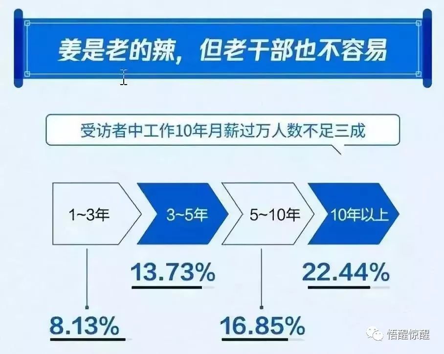 新澳精准过图，平特一肖的策略与实践探索