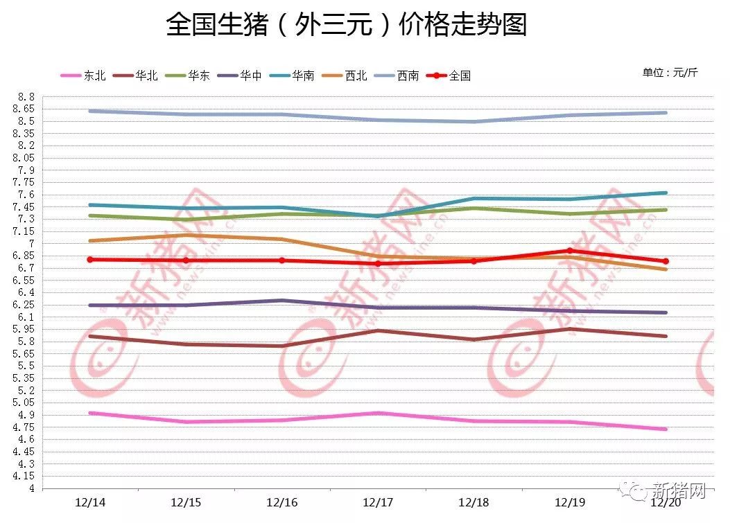 生猪最新价格行情分析，市场动态与价格趋势