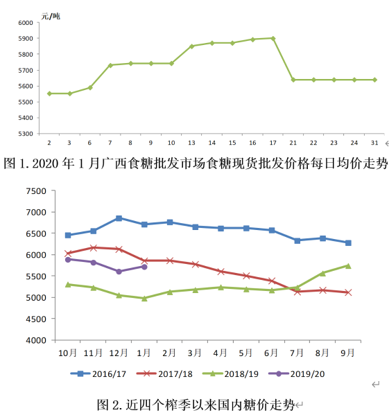 广西糖价最新动态解析