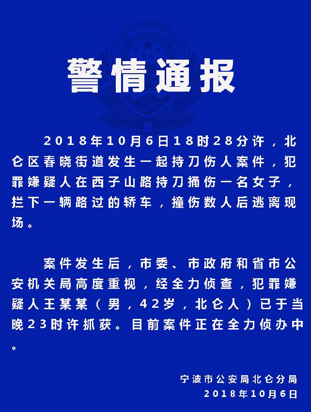 宁波最新案件综述，案件进展与焦点分析