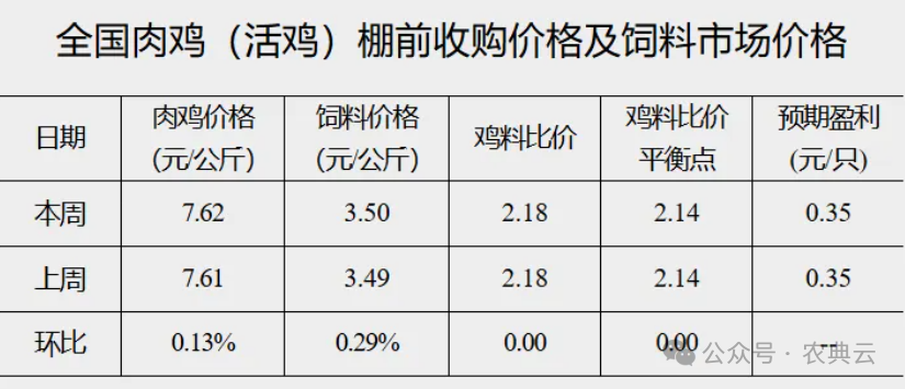 鸡肉价格实时更新，最新市场动态及价格概览