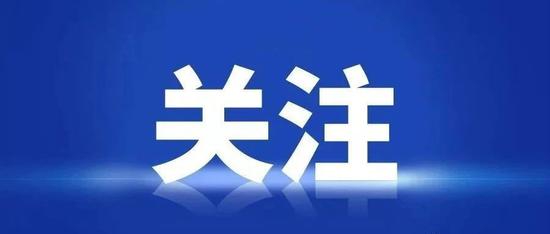 保险行业深度解析与市场动态，最新保险新闻解读