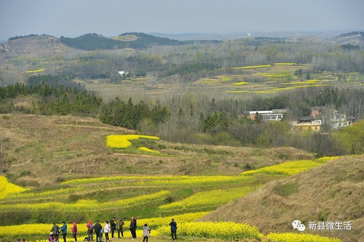 新县揭秘，当地新发展动态与政策解读