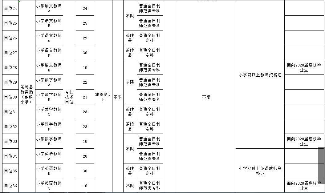 株洲人才新篇章，招聘引领未来