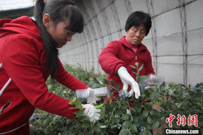 大连房贷利率最新动态解读