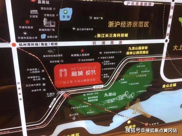 水霉100最新地址发布，专业服务助您快速获取信息