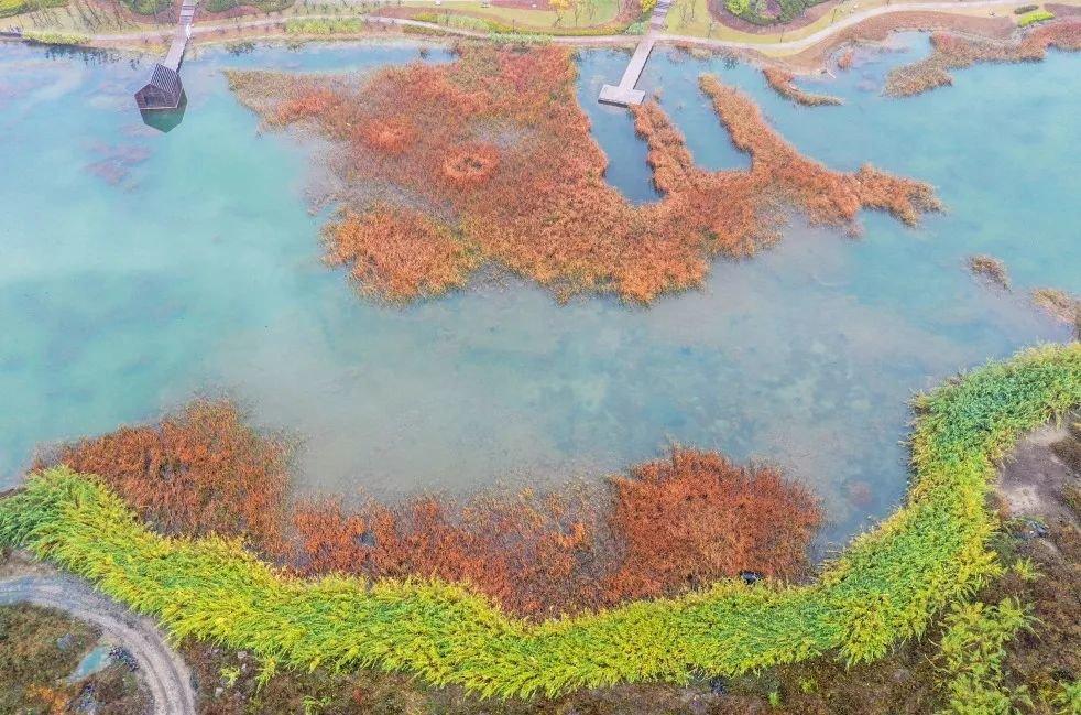 北仑万人沙滩最新照片标题，海岸新韵美丽海湾