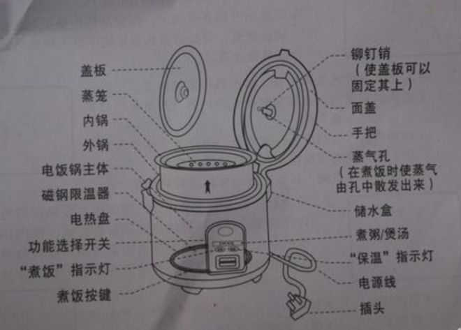 电饭煲隐患，清洗不当成蟑螂栖息之地，引发致命安全隐忧