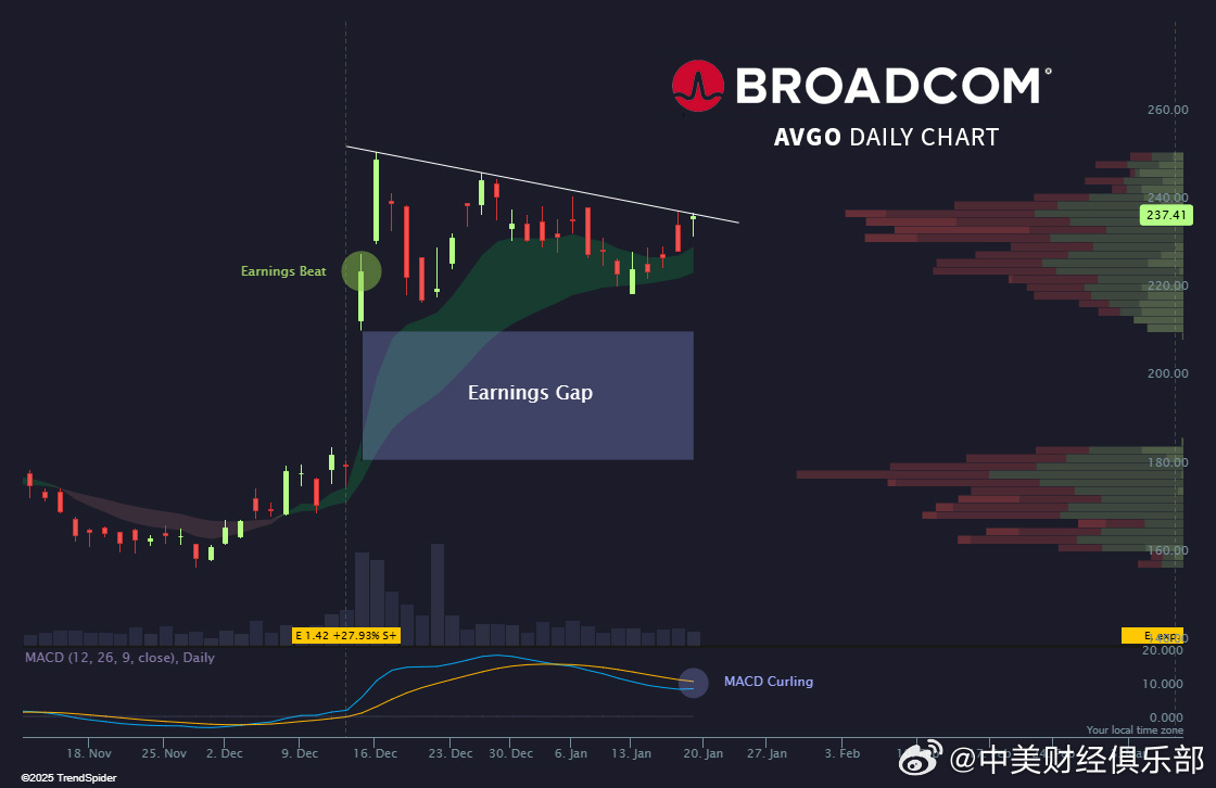 AVGO最新版深度解析