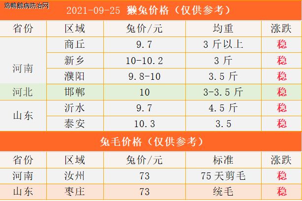 兔价趋势报告，今日市场动态与价格分析