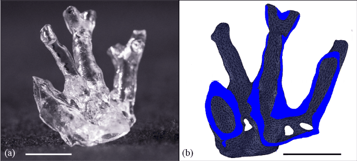 解锁3D技术新境界，最新3D技巧揭秘