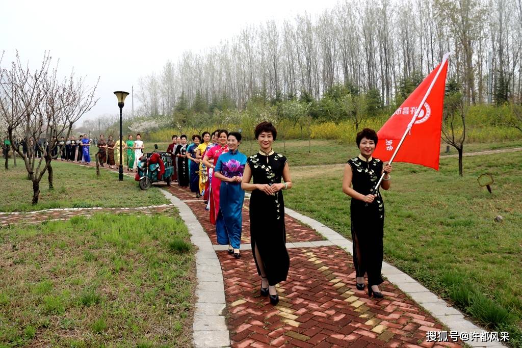 许昌高桥营项目进展与民生改善资讯集锦