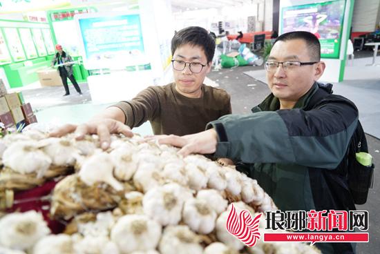 青岛港口大豆最新价格综述，市场动态与价格趋势分析