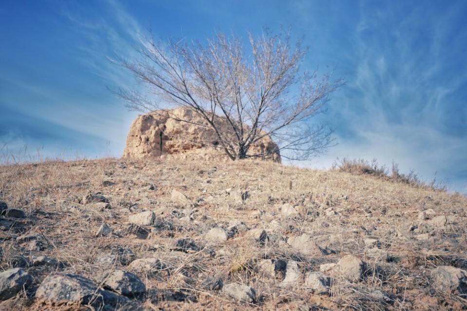 榆林边墙小区近日动态，创新进击下的温馨生活盛景