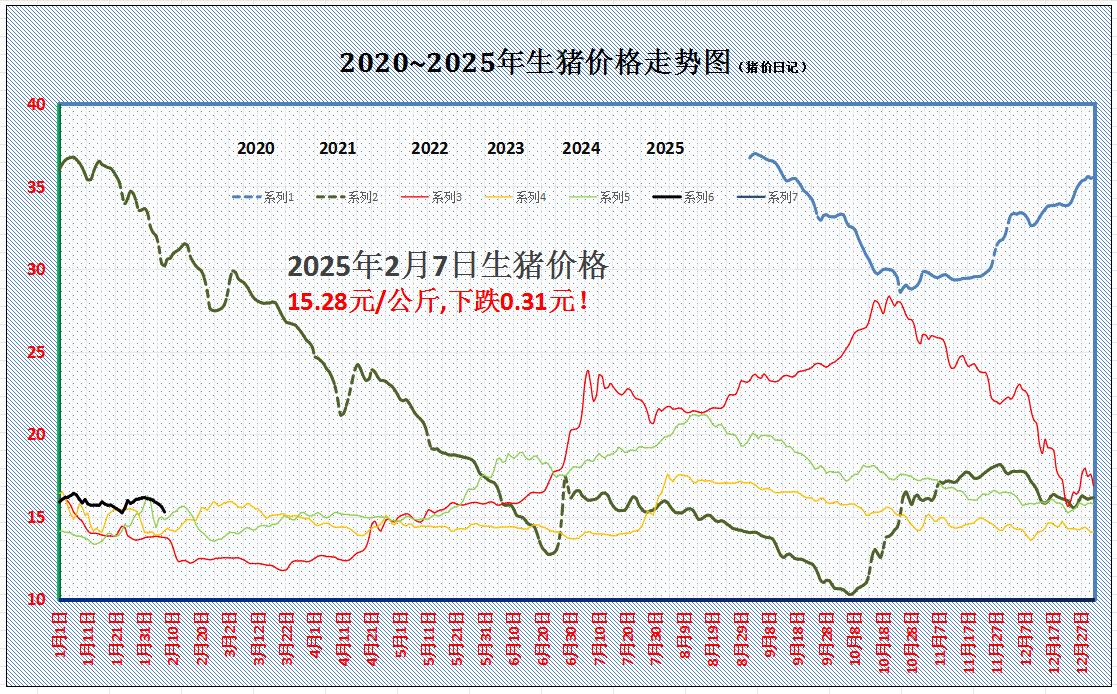 张家口猪价分析，最新动态与市场趋势