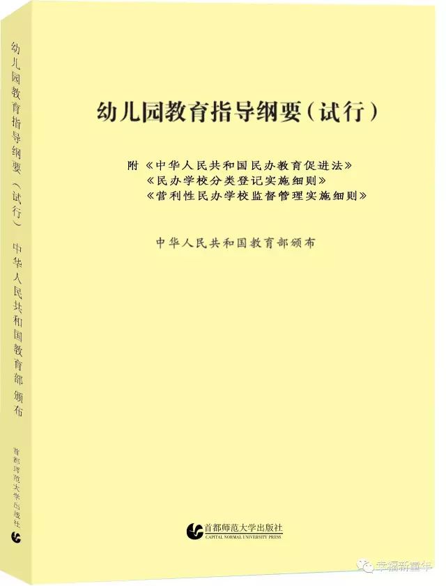 幼儿教育指导纲要解析，全面解析幼儿教育新理念