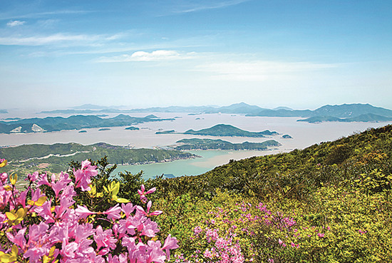 桃花岛神秘网址揭秘，探索神秘桃花源