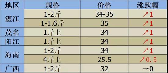 鱼价行情最新解读，市场动态与捕捞策略