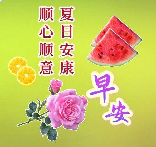 庆新春祝福连连，福祉新春气爽