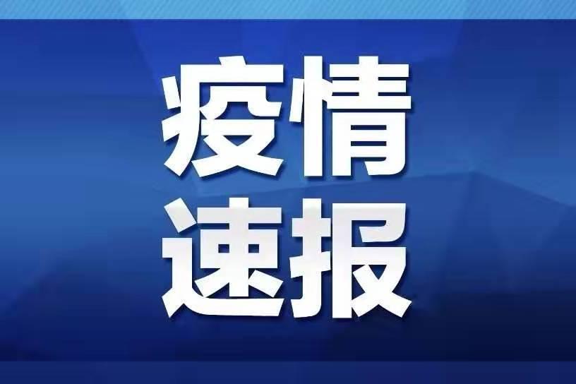 疫情输入病例国外探讨，防控策略与挑战